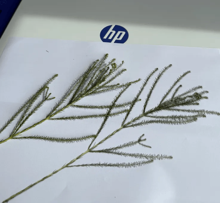 帶了臺打印機出國<strong></p>
<p>打印機
</strong>，好方便?。?！:打印機
